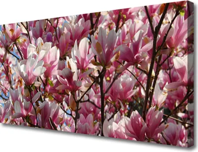 Produktbild von Tulup Leinwand-Bilder 100x50 Wandbild Canvas Kunstdruck Zweige Blumen Pflanzen