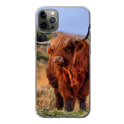 Produktbild von MuchoWow® Handyhülle Schutzhülle Hülle für iPhone 12 Pro Max Schottische Highlander - Gras - Steine Silikon Softcase Handy Hülle - Hartschale