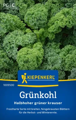 Produktbild von Kiepenkerl Grünkohlsamen Halbhoher grüner krauser Brassica oleracea acephala 350 Pflanzen