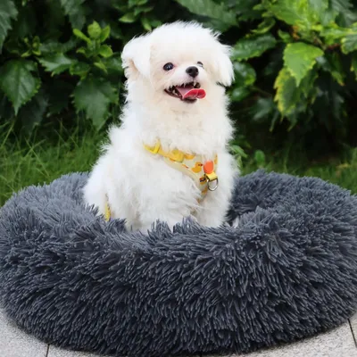 Immagine prodotto di Solidchoice - Cuccia morbida e lavabile per cani di taglia media e grande