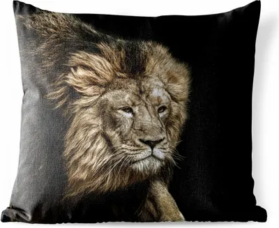 Produktbild von MuchoWow® Outdoor Kissen - Löwe - Tiere - Schwarz - 40x40 cm - Wetterfest - Lounge Kissen - Kopfkissen - Interieur - Polster mit Bild