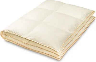 Produktbild von Natürliche Decke Bettdecke 80% Daunen 155/220 3,0 kg Beige