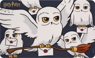 Produktbild von Harry Potter Frühstücksbrettchen - Hedwig