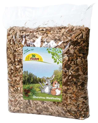Image de L'ambiance de la forêt sur la litière