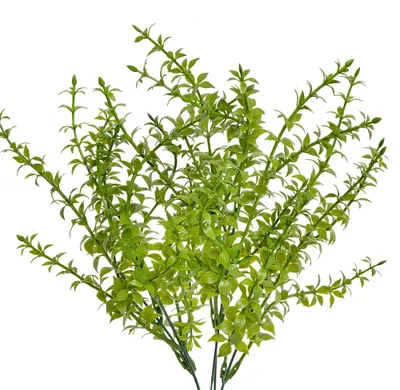 Produktbild von Clayre & Eef Kunstpflanze 40 cm Grün Kunststoff