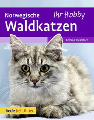 Obrázek produktu pro Norwegische Waldkatzen