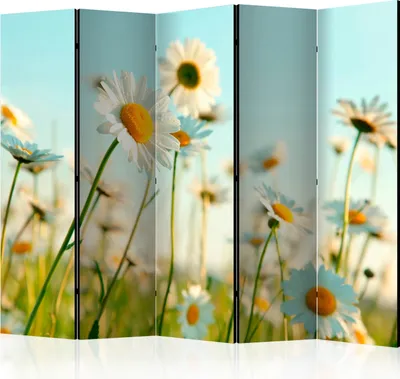 Produktbild von 5-teiliger Einseitiger Vlies Paravent - Daisies - spring meadow II 225x172 cm Blumen b-C-0471-z-c