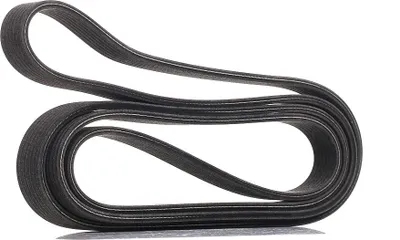 Produktbild von DAYCO Keilrippenriemen 2569,0mm für VW PASSAT Variant (3B6) 7DPK2569