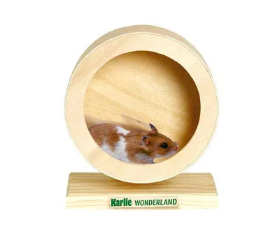 Produktbild von Drevený balančný bicykel Karlie BOGIE WHEEL - 15 cm