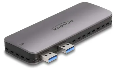 Immagine prodotto di Delock - Speichergehäuse - M.2 - NVMe PCIe - PCIe, SATA, USB 3.2 (Gen 2)