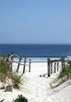 Produktbild von Wallario Poster - Blick auf Strand, Kunstdruck Größe: 70 x 100 cm