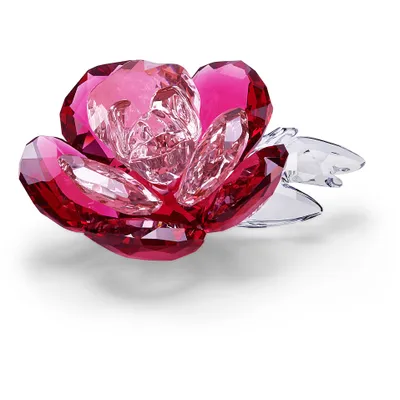 Obrázek produktu pro Swarovski PFINGSTROSE 5493711 Neuheit 2020