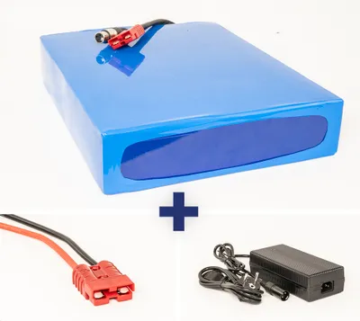 Image de Bloc de batteries lithium-ion 48V 40Ah 60A mesure A