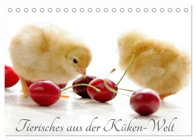 Produktbild von Tierisches aus der Küken-Welt (Tischkalender 2027 DIN A5 quer), CALVENDO Monatskalender