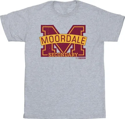 Produktbild von Netflix - " Education Moordale" T-Shirt für Herren BI45189 (S) (Grau)