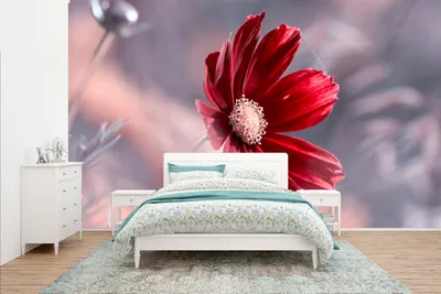 Produktbild von MuchoWow® Fototapete für Wohnzimmer oder Schlafzimmer Wandtapete Vinyl Motivtapete Blumen - Rot - Natur - Pflanzen - 435x260 cm - Kinderzimmer