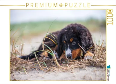 Produktbild von CALVENDO Puzzle Träumerle | 1000 Teile Lege-Größe 64x48cm Foto-Puzzle für glückliche Stunden