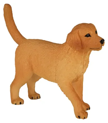Image de Animal Planet Golden Retriever chiot