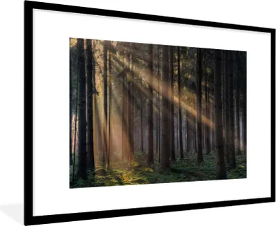 Produktbild von MuchoWow® Gerahmtes Poster Bäume - Wald - Sonne - Pflanzen 90x60 cm - Poster mit Schwarzem Bilderrahmen Wandposter Rahmen Foto Bilder - Wanddekoration - Fotos