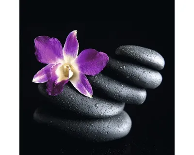 Produktbild von Glasbild Stone GLA1341 20x20 cm