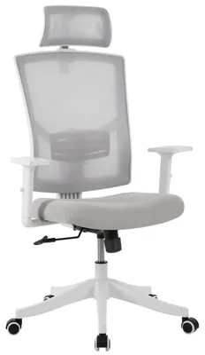 Zdjęcie produktu dla Ergonomiczne krzesło biurowe – krzesło do biurka – regulowane podparcie lędźwiowe – podgłówek – funkcja bujania i blokady – składane podłokietniki – maksymalne obciążenie 160 kg – kolor: szary