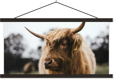 Produktbild von MuchoWow® Textilposter Schottisches Hochlandrind - Tiere - Hörner 90x45 cm mit schwarzem Rahmen - Klemmleisten