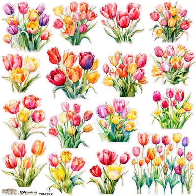 Image de Naklejki - ScrapLove - Tulipany 2
