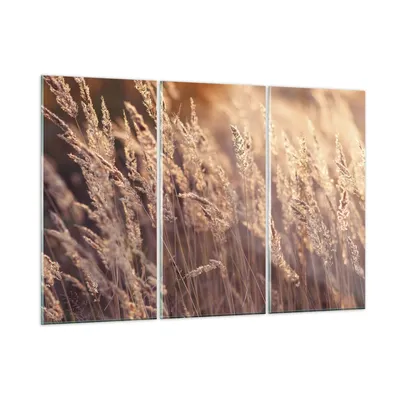 Produktbild von Bilder auf glas - 3 Teile - Boho Ähren Feld - 165x110cm - Glasbilder - Wandbilder - Bilder - zum Aufhängen bereit - Wanddekoration aus Glas - Glas Bilder - Wandbild auf Glas - GCE165x110-4838