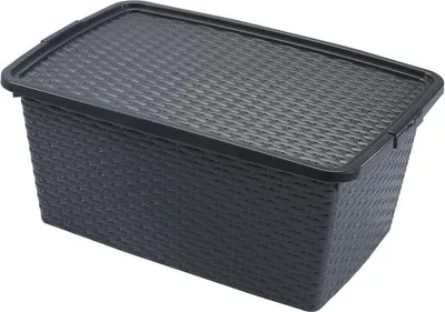 Obrázek produktu pro Heidrun Úložný box ratan 40l