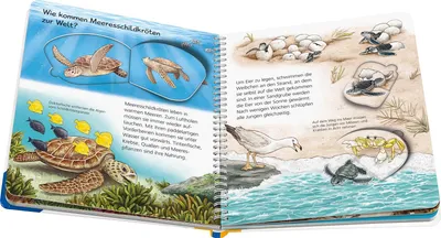 Produktbild von Ravensburger Wieso? Weshalb? Warum? junior, Band 57: Tiere im Meer