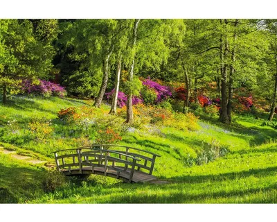 Obrázek produktu pro Obraz na plátně CAGI 80x150 cm Krajina Bridge
