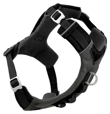Produktbild von Hunde-Abenteuergeschirr, Schwarz, M