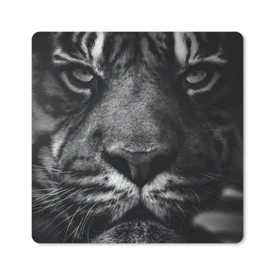 Produktbild von MuchoWow® Mauspad Mousepad Tiere - Tiger - Wild - Schwarz - Weiß 20x20 cm - Mousepads - Maus Mat - Pad - Mausunterlage - Desk Mat - Bureauartikeln