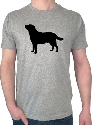 Produktbild von Huuraa Herren T-Shirt Labrador Retriever Silhouette L Sport Grey Bio Baumwolle Fairtrade Herrenshirt Geschenkidee