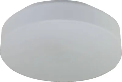 Produktbild von Niermann Nurglasleuchte Opal Glas matt 28cm,  EU