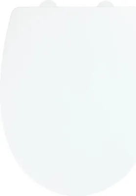 A top-down view of a white toilet seat.