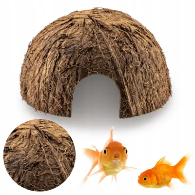 Produktbild von Aquarium Deko, Kokosnusshälfte unbearbeitet Natur