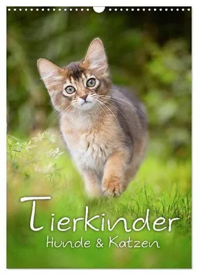 Produktbild von Tierkinder Hunde und Katzen (Wandkalender 2026 DIN A3 hoch), CALVENDO Monatskalender
