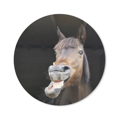 Produktbild von MuchoWow® Mauspad Mousepad Pferd - Lustig - Stall - Kinder - Jungen - Mädchen - Kinder 20x20 cm - Mousepads - Maus Mat - Pad - Mausunterlage - Schreibtischmatte