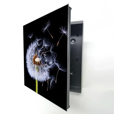 Produktbild von Schlüsselkasten Schwarz Metall, Pusteblume Motiv hinter Glas, Moderne Schlüsselbox rechtsöffnend, 32x28x6,5 cm, 20 Haken für Ordnung im Haus.