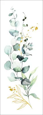 Produktbild von Leinwandbild Eucalyptusarrangement 27x77 cm
