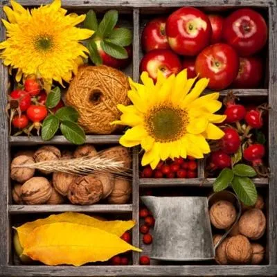 Obrázek produktu pro Ubrousky 24 x 24 cm – Podzimní kompozice