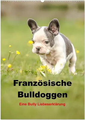 Produktbild von Französische Bulldoggen - Eine Bully Liebeserkärung (Wandkalender 2026 DIN A2 hoch), CALVENDO Monatskalender