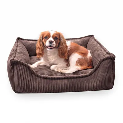 Produktbild von 4L Textil HUGO Orthopädisches Hundebett aus Cord mit Visco-Schaumstoff, abnehmbarer Bezug, für kleine und mittelgroße Hunde, 80x60 cm, Dunkelbraun