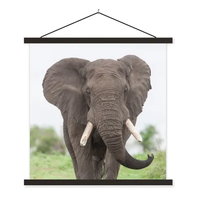 Produktbild von MuchoWow® Textilposter Elefant - Tiere - Gras - Natur 120x120 cm mit schwarzem Rahmen - Aufhängungsset