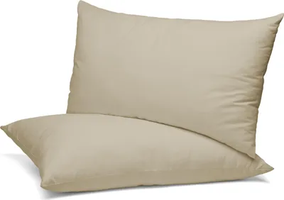 Produktbild von BEAUTEX 2er Set Kissenbezug, Kissenhülle aus gekämmter Baumwolle, Premium Jersey 160g/m², Größe und Farbe wählbar,Beige,40x80cm
