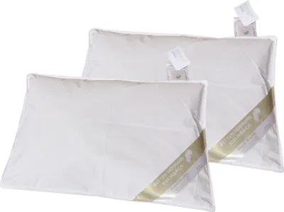 Produktbild von 2 Stück Betten Hofmann Kleinkinder Daunenkissen 40x60 cm Flachkissen 100% Daunen 60 g
