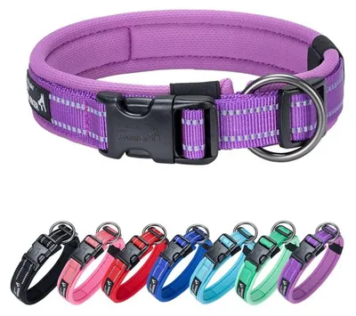 Obrázek produktu pro Obojky pro psy, nylonové, nastavitelné, reflexní, fialové, velikost L