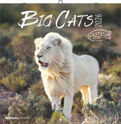 Produktbild von Big Cats 2026 - Broschürenkalender 30x30 cm (30x60 geöffnet)