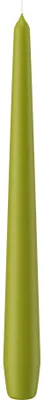 Produktbild von Spitzkerzen (konische Kerzen) Grün 250 x Ø 25 mm, 12 Stück